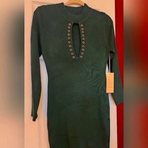 Hunter green sweater dress
